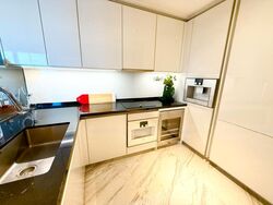 Wallich Street (D2), Condominium #454019861